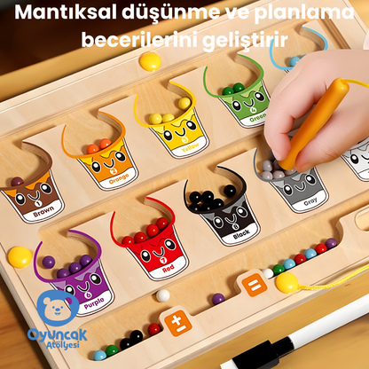 Manyetik Renk Macerası