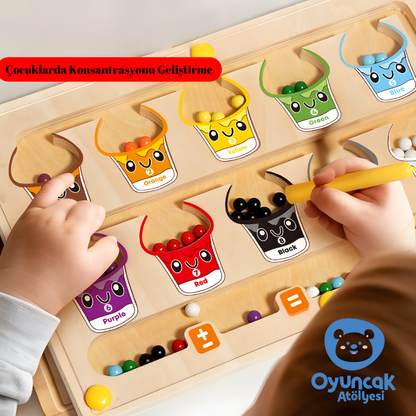 Manyetik Renk Macerası