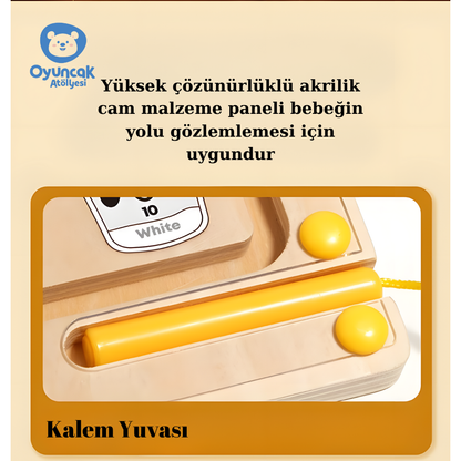 Manyetik Renk Macerası
