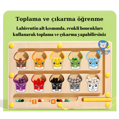 Manyetik Renk Macerası