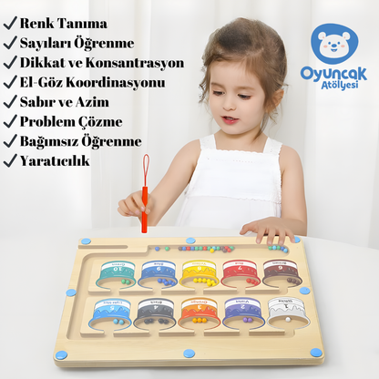 Manyetik Renk Macerası
